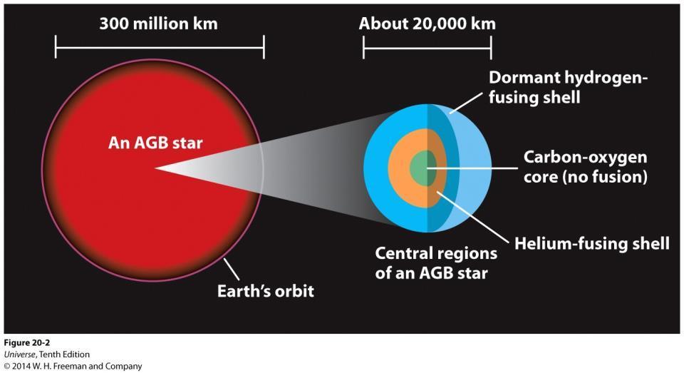 Asimptotik Dev Kolu (AGB) Yıldızları Kütlesi 0.4 ile 4 M Güneş arasındaki yıldızlar yaşamlarının sonuna doğru Asimptotik Dev Kolu (AGB) yıldızları olarak adlandırılır.