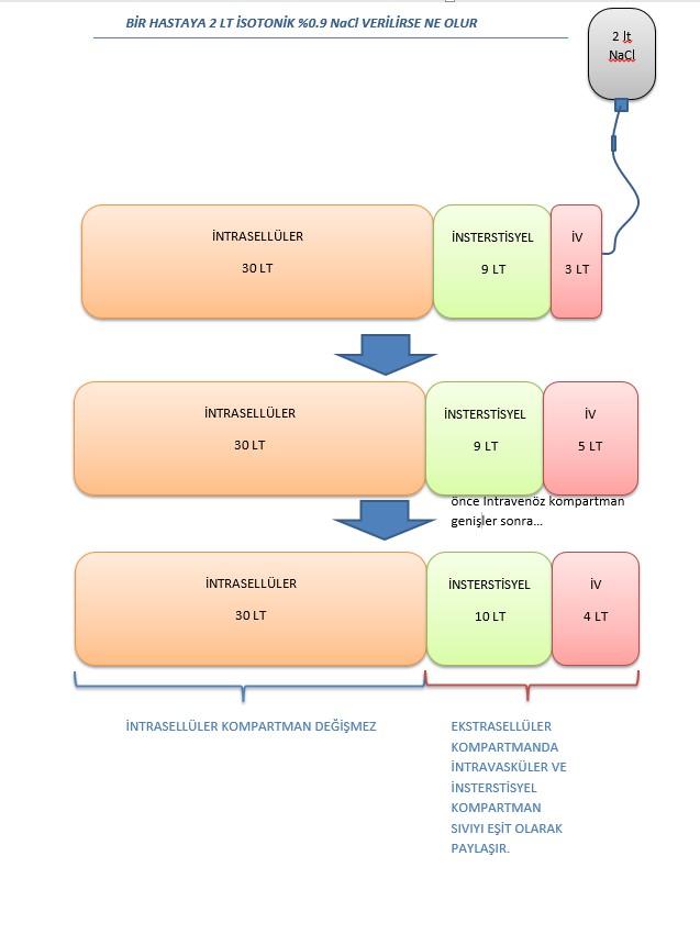 İNTRASELLÜLER KOMPARTMAN DEĞİŞMEZ.