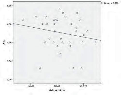 Ortalama adiponektin seviyeleri nefropatili grupta,8 ng/ml, nefropatisiz grupta 97,64 ng/ml idi.