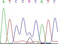 bağlantı analizini takiben veya doğrudan DNA dizi analizi ile ilişkili genlerde mutasyon taraması yapıldı.