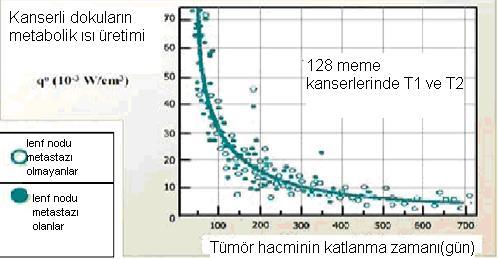 Katlanma zamanı sabit olduğunda tümör gelişimi eksponansiyel bir eğri olarak gösterilir. Tümörün ağırlığı iki katına çıktığında çapı da kat büyür.