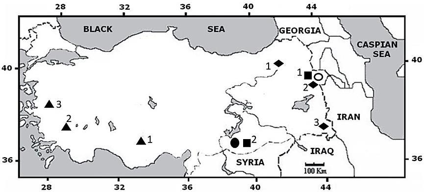 ACTA BIOLOGICA TURCICA 31(3): 122-132, 2018 Şekil 1. M. tristrami alttürlerinin tip lokaliteleri; M. t. lycaon (1 Karaman, 2 Denizli), M. t. blackleri. (3 Manisa), M. crassus ( Şanlıurfa), M.