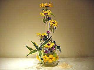 KESME ÇİÇEK YETİŞTİRİCİLİĞİ Helianthus bitkisinin kesme çiçek olarak üretimi, kapalı ve açık ortamlarda yapılmaktadır.