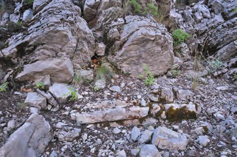 with most buried beneath the filling. Their entrances can be found only through excavations. Res. 3 Anakayaya dayandırılmış yapılar Fig.