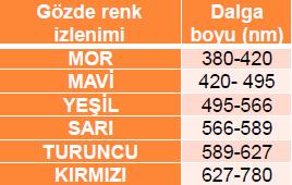 Elektromanyetik Dalgalar İçinde Işığın Yeri Elektromanyetik dalgalar dalga boyu veya frekans bakımından çok geniş