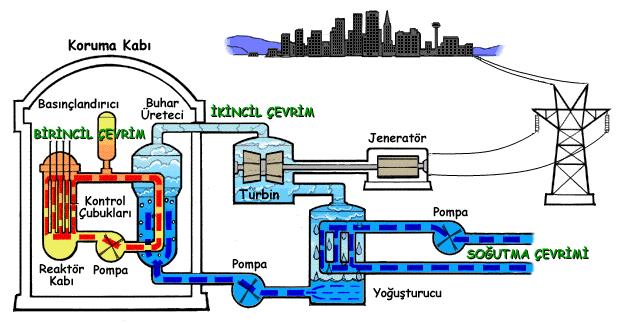 Nükleer güç santrali nasıl çalışır? Kaynak-Isı enerjisi dönüşümü = buhar-türbin/jeneratör = elektrik üretimi Isı üretmek için nükleer reaksiyon kullanır R.