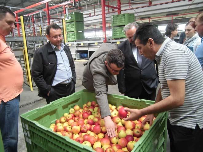 akreditasyondan bu yana ildeki kuruluşların AB projelerine katılımını artırmak ve