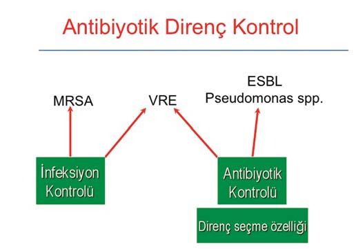 mikroorganizmanın dışındaki demin gösterdiğim Amerikan çalışmalarında, ne imipeneme ne ertapeneme duyarlılıklarında da bir azalma meydana gelmiyor.