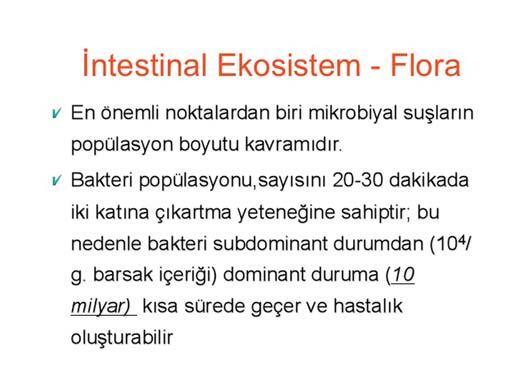 var. Ve demin söylediğim gibi onlar deri, oral kavite mukozası, üst solunum yolu, üriner ve genital sistemde bulunuyor ama en çok bulunduğu yer gastrointestinal sistem.