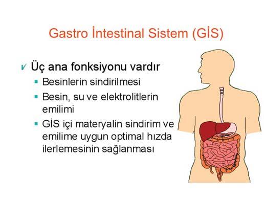 Human Genomic Project Human Epigenome Project ve bir sonraki basamak da gastrointestinal sistemde, bugün konuştuğumuz ekosistemimizin ana yapısı, bütün vücudumuzdaki mikroorganizmaların genetik