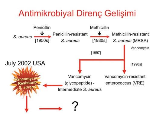 Ama bunun dışında da gıdalarda, hazır gıdalarda, veteriner hekimlik, tarımda kullanım, bir şekilde gastrointestinal sistemimizle antibiyotiklerin buluşması meydana geliyor.