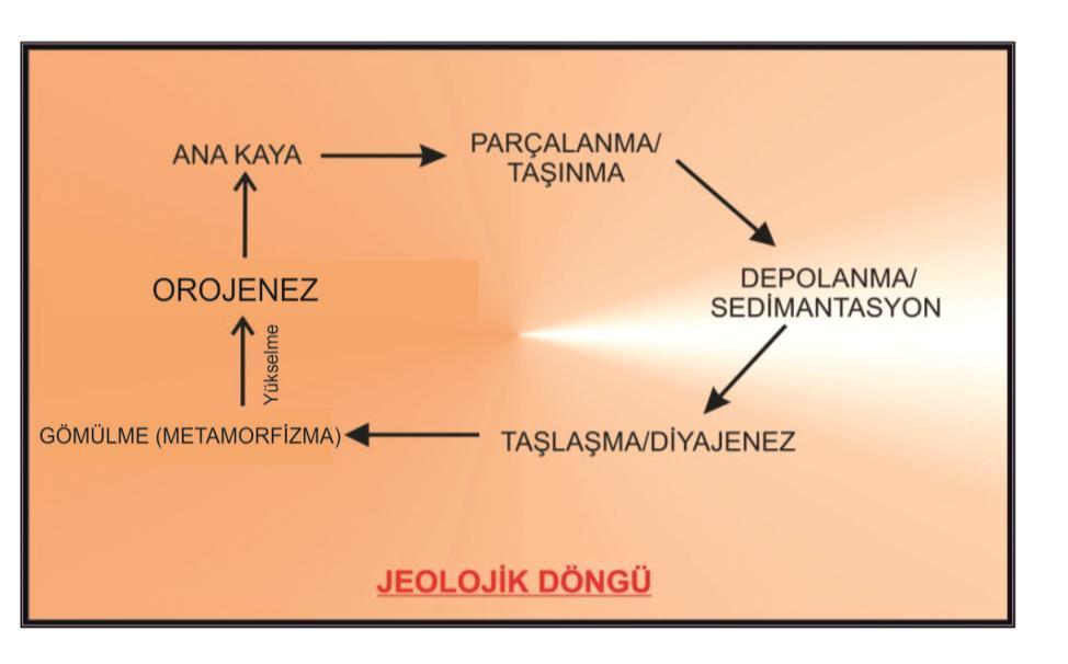 Sedimantoloji günümüzde alt dallara ayrılmıştır.