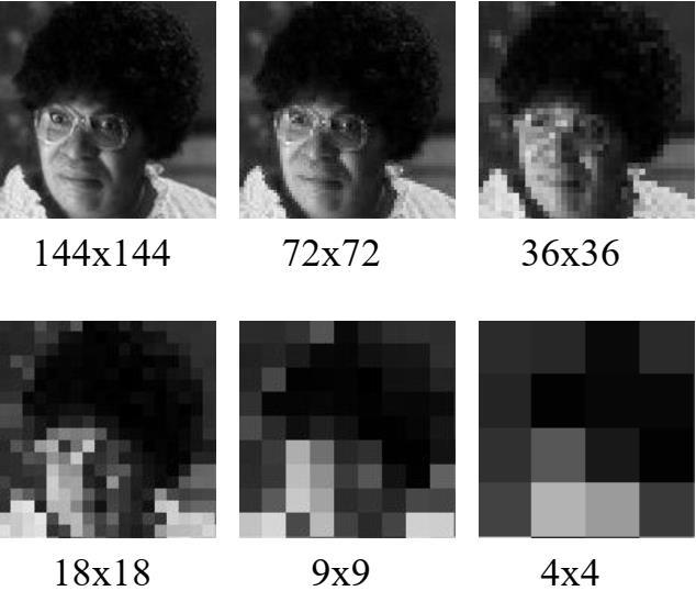 Görüntünün Geometrik Çözünürlüğü Şekil 6 a resminde Y ekseni boyunca 1 inç değerine bir piksel karşılık gelirken, c resminde Y ekseni boyunca 1 inç uzunluğuna 4 piksel karşılık gelmektedir.