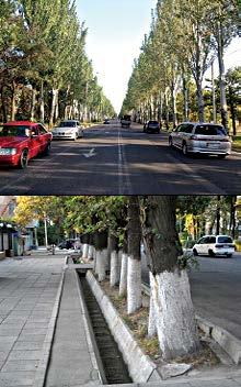 Resim 6. Cadde boyu ağaçlandırma ve sulama kanalı örnekleri Resim 7.