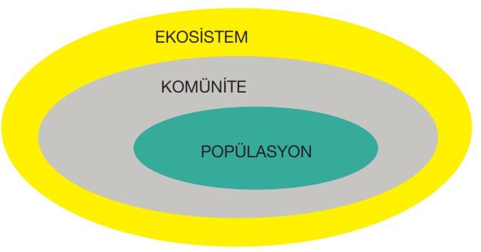 Dünyadaki tüm ekosistemler toplamıdır. Biyosferin toplam kalınlığı ortalama olarak; 16000 metredir. Biyosferin alt sınırı okyanusun 5000 metre derinliğidir.