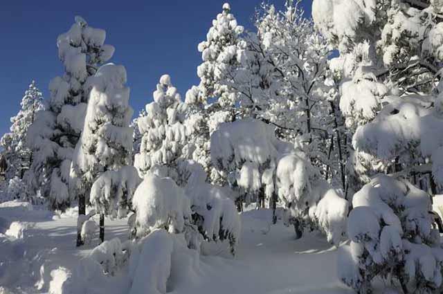 Çığ düşmesine sebep olan faktörler Büyük kar yağışlarından sonra yüksek dağlara ilk iki gün tırmanmayın.