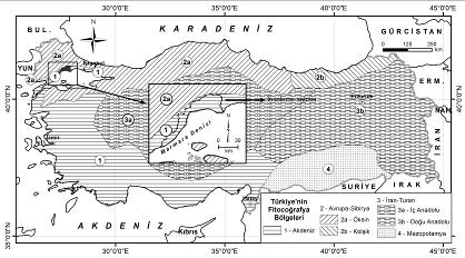 Genellikle yumuşak formasyonlar üzerinde görülen Mollisol ler düz veya hafif eğimli yüzeylerde yayılış göstermektedir (Efe, 1999).