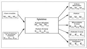 Buna göre; hammadde ve giren enerji sonucunda üretilen mamüllerin bünyesine karışmış mamüldeki enerjinin yanısıra maddi atıkların ve bu atıkların içindeki enerji ile ayrıca çevreye atılarak