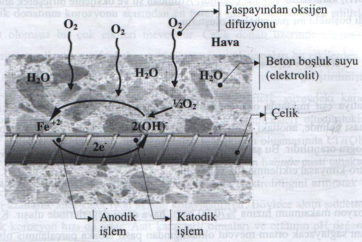 Beton içine gömülü çelik donatının korozyonu elektro-kimyasal reaksiyonla gelişir.