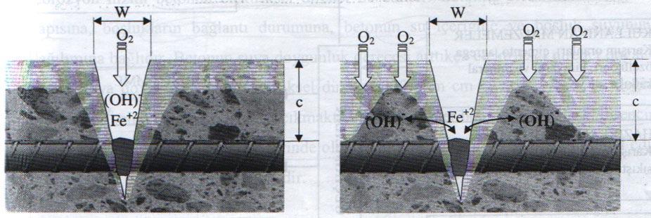 2.25 de sağda gösterilen durumda ise, çatlak içindeki küçük bölge anot, beton içinde kalan daha büyük alan ise katot olmaktadır. Korozyon hızını doğrudan etkileyen parametre betonun geçirimliliğidir.