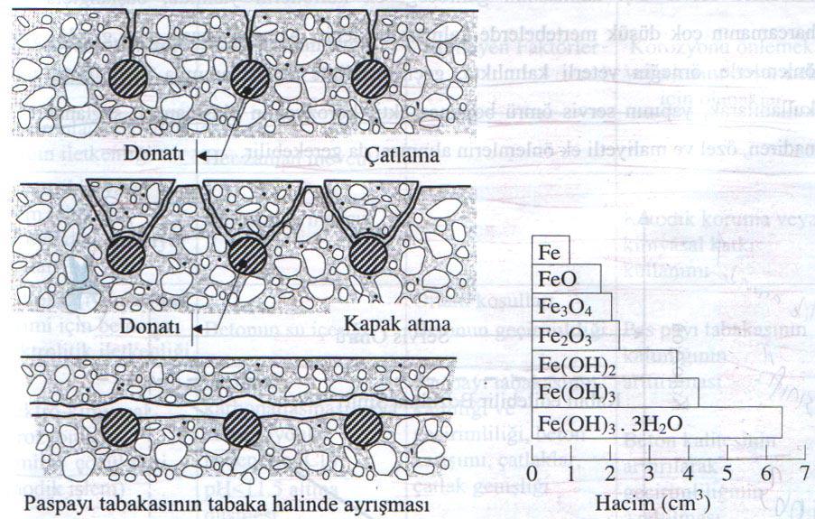 Şekil 2.27 de betonarme donatısının korozyon nedeniyle aşama aşama kesit kaybetmesi ve sonuçta tamamen parçalanması görülmektedir.