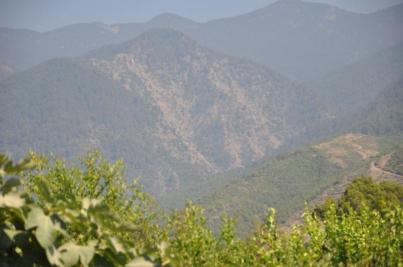 önemli bir kısmının tarım alanlarına karşılık gelmesi arazi kullanımı ile erozyon arasında kuvvetli bir ilişki olduğunu göstermektedir.