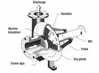 Diğer rotor dişi rotor olarak adlandırılır ve erkek rotorun loblarına karşılık gelen yivleri vardır. 1.2.