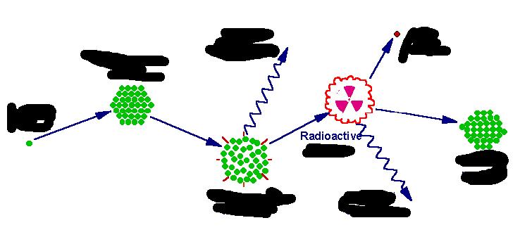 NÖTRONLAR Gama ışını Beta Parçacığı Hedef Çekirdek Gelen Nötron Çekirdek