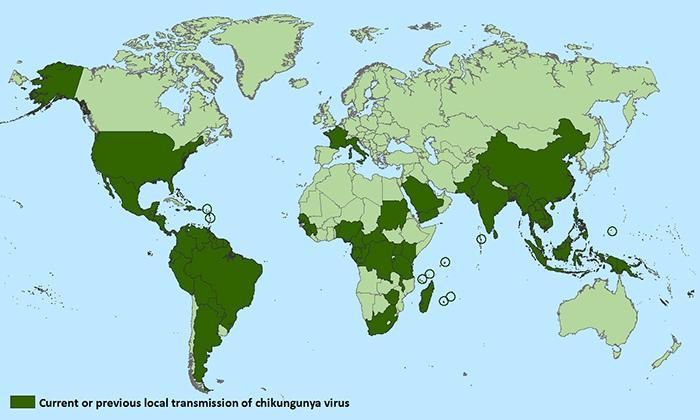 Chikungunya saptatan ülkeler (yerli olgu)* 22 Nisan 2016 *Does not include countries or territories where only imported cases have been documented.