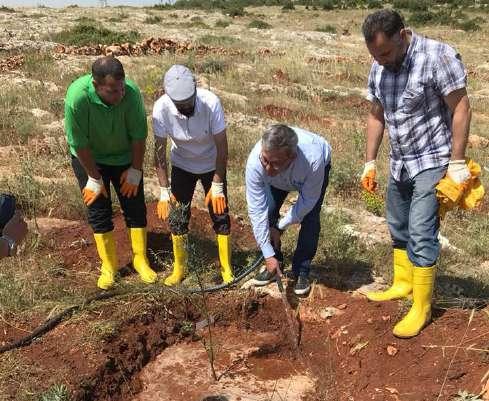 000 in üzerinde çam ağacı bu bölgeye dikildi ve bu ormana Fatma Avlar-Aylan Bebek Barış Ormanı adı verildi.