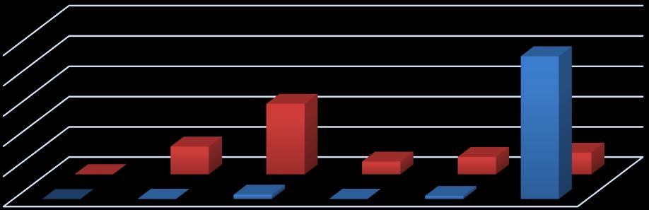 2013 yılının ilk altı ayında sermaye giderleri içerisinde mamul mal alımlarına 368.823.775, gayrimenkul alımları ve kamulaştırmasına 129.280, gayrimenkul sermaye üretim giderlerine 3.901.