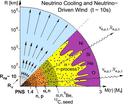 Astrofiziksel Motivasyon Nötrinolar 10km içinde tuzaklı. Süpernova büyük oranda nötrinolar ile soğur. ν ν saçılmaları.
