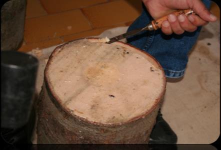 Üretim kütüklerinin her iki tarafından bir keski ve çekiç yardımıyla kambiyum ile odun arasında 1-3 cm derinlikte ve 1-2 cm genişlikte kambiyum sağlam kalacak şekilde, odun kısmından ayrılacak
