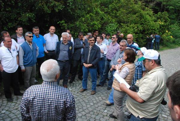 kapları ile böcekli sahalara götürülerek D. micans in yuvalarına verilirler.