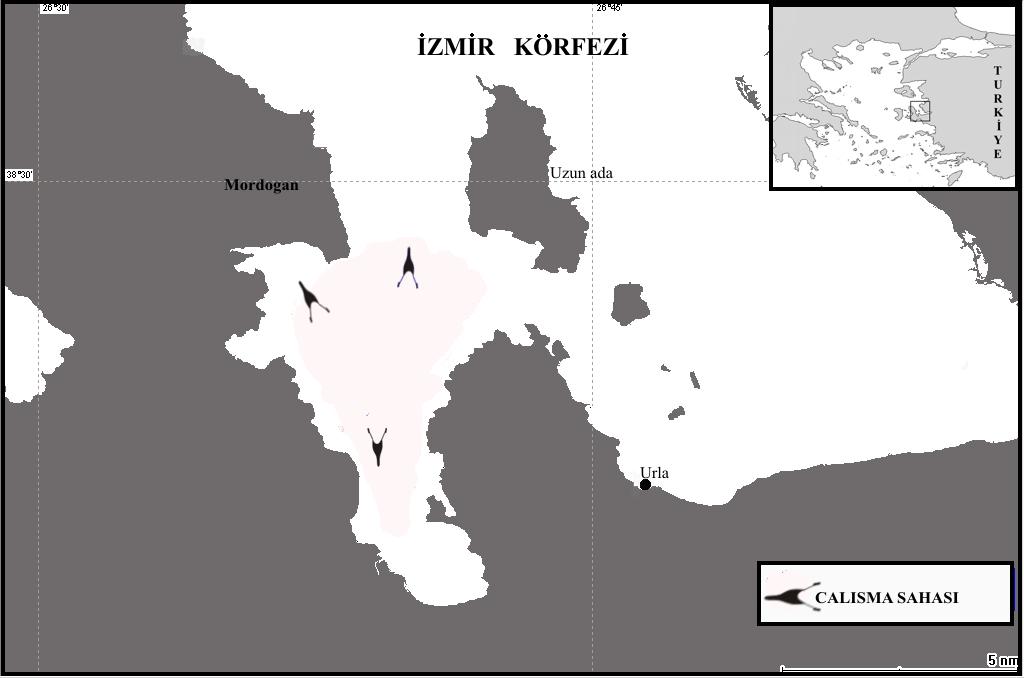 XLI 3. MATERYAL VE YÖNTEM 3.1 Materyal Denemeler Ege Denizi İzmir Körfez sınırları içinde yer alan Gülbahçe Körfezi nde 03 Haziran-28 Temmuz 2004 tarihleri arasında gerçekleştirilmiştir (Şekil 3.1).