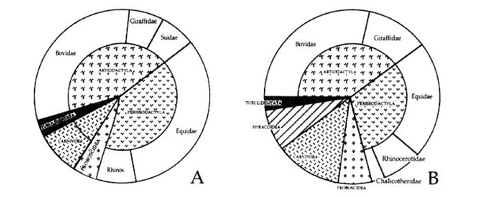 Grafik 22: Akkaşdağı (A) ve Kemiklitepe KTA+B nin faunal komposizyonunun karşılaştırılması (Kazancı ve diğ., 1999). Düzyayla, Sivas, Orta Anadolu memeli fosilleri orman ve otsul alanları simgeler.