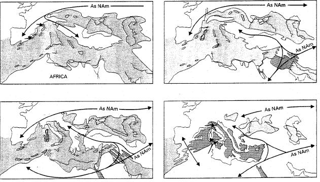 Resim 2: Akdeniz de memeli göç hareketi (Cox, 2000).