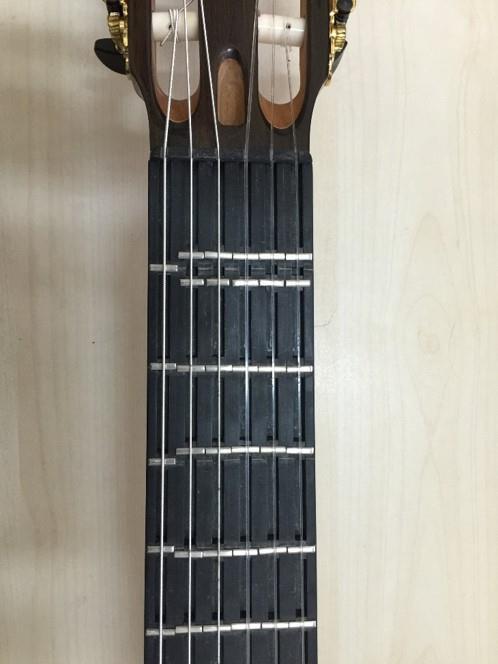 edebilmektedir. Ayrıca gitar klavyesine perdeler eklenip çıkartılabilmektedir (Çoğulu, 2011: 425).