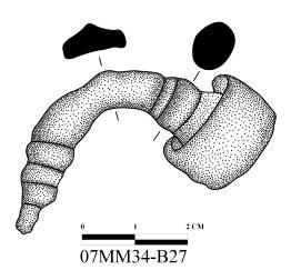 Katalog No: 180 Kazı Envanter No: 07MM34-B26 Eserin Adı: Fibula Ölçüleri: Uz: 3,9 cm, Gen: 5 cm, Kal: 1,3-0,3 cm Bulunduğu Tarih: 14.08.