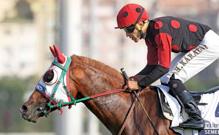 Veliefendi Koşusu 2800 metre mesafesiyle Arap atlarının uzun mesafede dayanıklılığının en önemli gösterge yarışlarından biridir. Koşunun 1990 dan bu yana tarihine baktığımızda H.