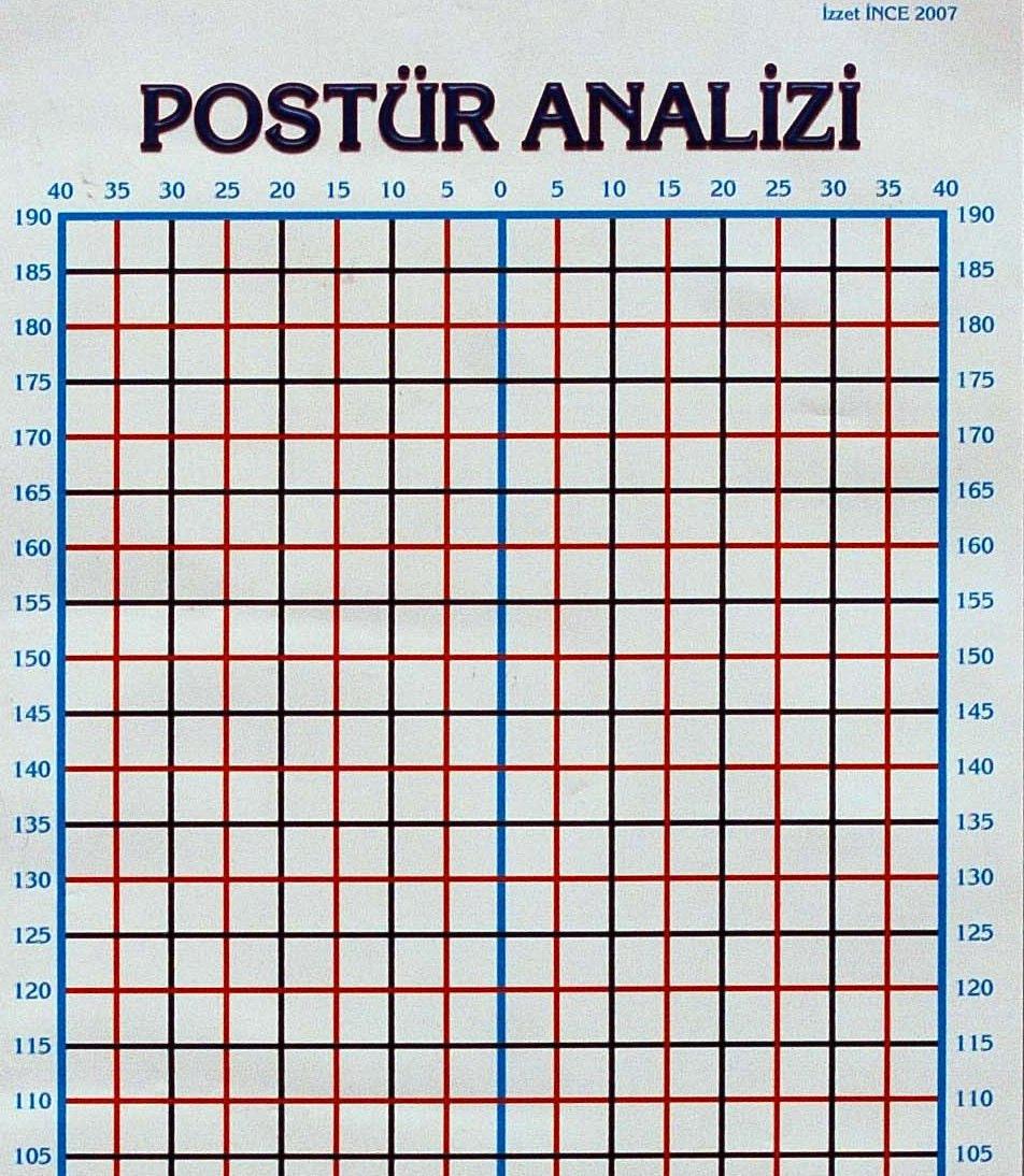 Bilgisayarlı Ortamda Postür analizi için, Postür analizatör aracı hazırlandı.