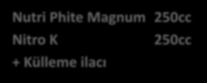 Uygulamalar Damla sulama ile dekara 07.07.2011 Actagro Chace Liquid Humus 1Lt 200cc 100 Litre su ile yapraktan 08.07.2011 Nutri Phite Magnum 250cc Nitro K + Külleme ilacı 250cc Damla sulama ile dekara 14.