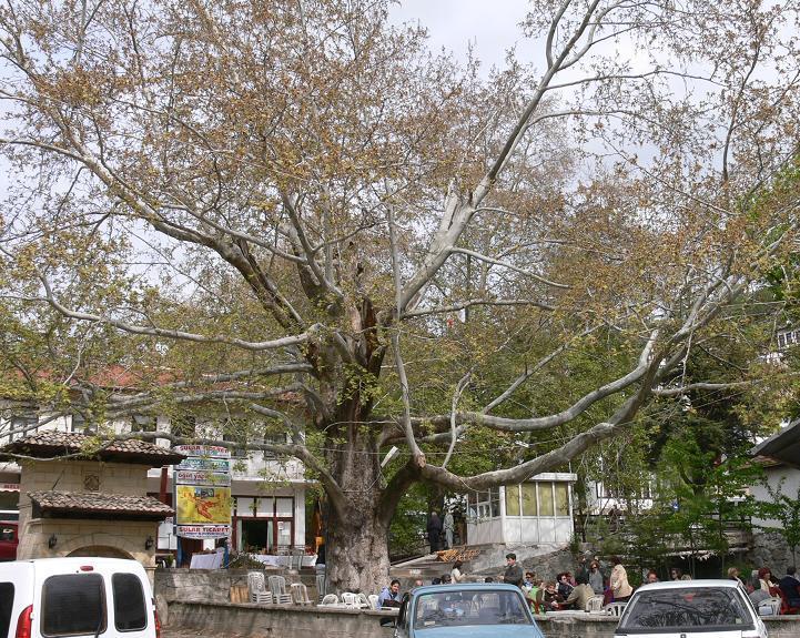 Yer : Göynük merkez, Bolu ilimizin en batısı.