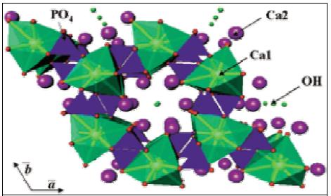 9 2- CO 3 iyonları yer değiştirerek apatitin yapısına katılır. Sodyum ve magnezyum gibi iyonlar da kristallerin çevresinde toplanır [32]. Şekil 2.1.