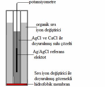 28 Şekil 2.6. Sıvı-membran iyon seçici bir elektrodun şematik gösterimi 2.6.4.