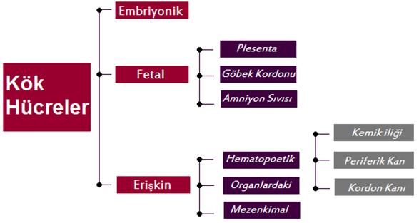 Şekil 2.