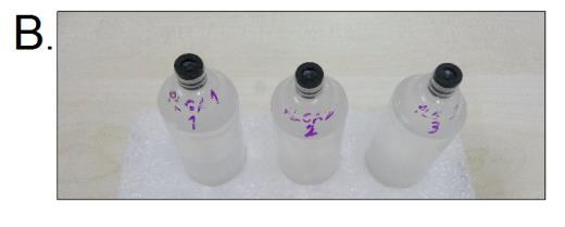 Şekil 3.2. A. Doku iskelelerinden testosteron ve 17-β estradiol ile B.Nanopartiküllerden testosteron salım çalışması için hazırlanan salım sistemleri Şekil 3.3. Sıçanlardan alınan yağ dokularının ADMSC izolasyonu için kültüre edilmesi.