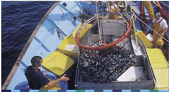 Ortak Balıkçılık Politikası Balıklar ulusal sınırları tanımayan canlılardır. Bu durum, balıkçılık kaynaklarının AB düzeyinde yönetimi ihtiyacını ortaya çıkarmaktadır.