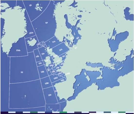 TAC/Kota ICES BALIKÇILIK ALANLARI I IIa Barents Denizi Norveç Denizi VIa VI b Batı İskoçya (Clyde stoku) Rockall VIIIa South Brittany VIIIb South Biscay IIb Spitzbergen ve Bear Adası VIIa