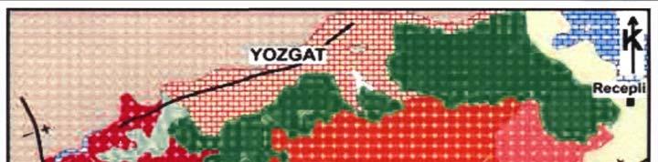 4.1.3 Jeolojik durum İç Anadolu bölgesinin kuzeydoğusunda yer alan araştırma alanında, tektonostratigrafik
